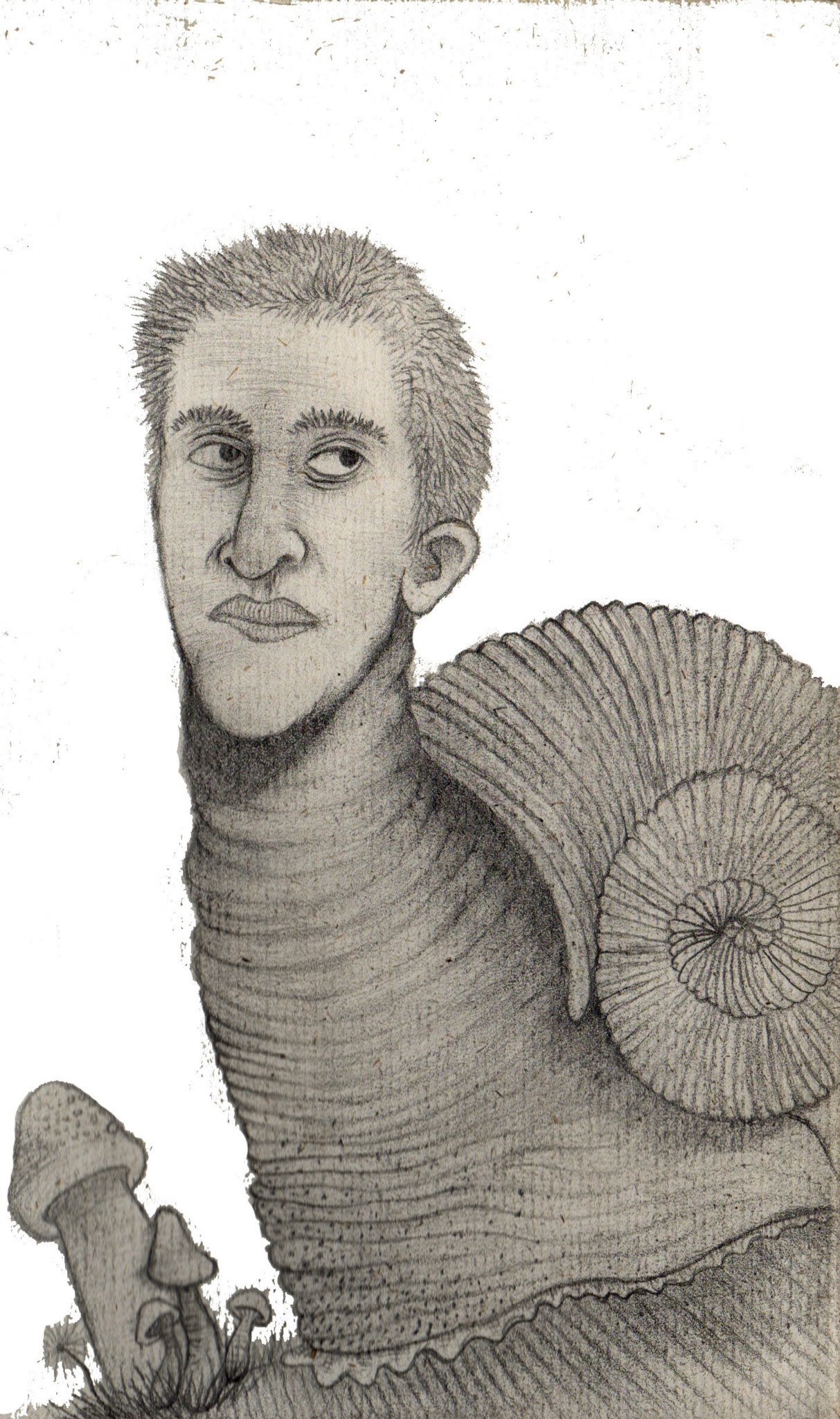 A pencil drawing of a snail with a man's head, short hair, and a slightly peeved expression. To the side is a clump of mushrooms.
