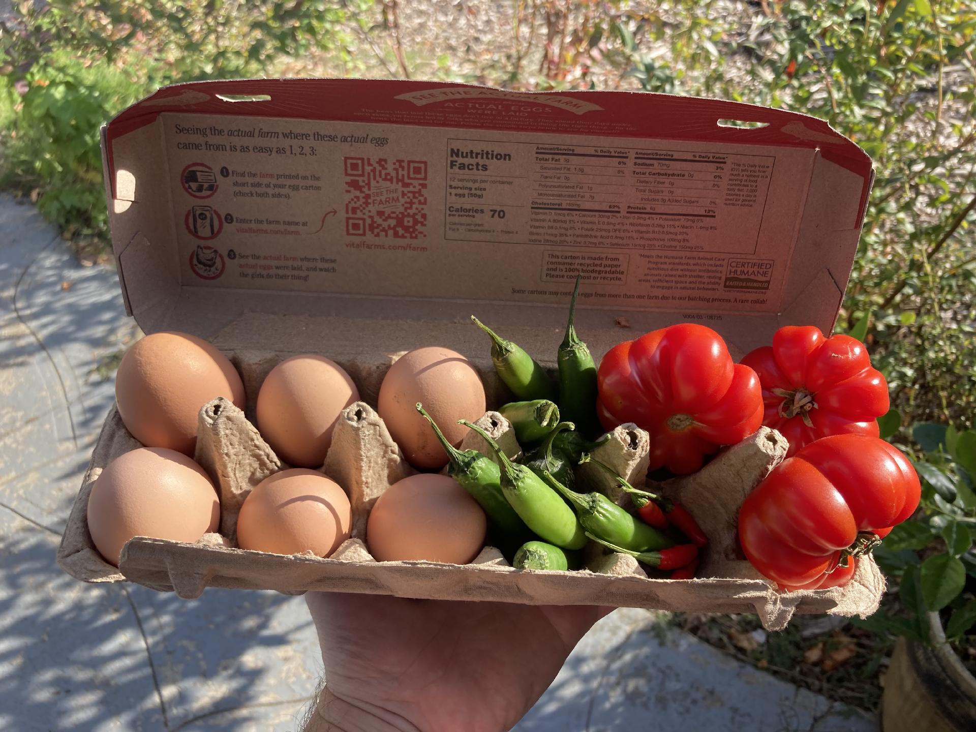 An egg carton filled with eggs and veggies